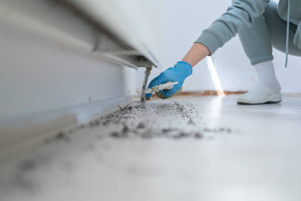 Best Pest Removal Services  in Pinardville, NH